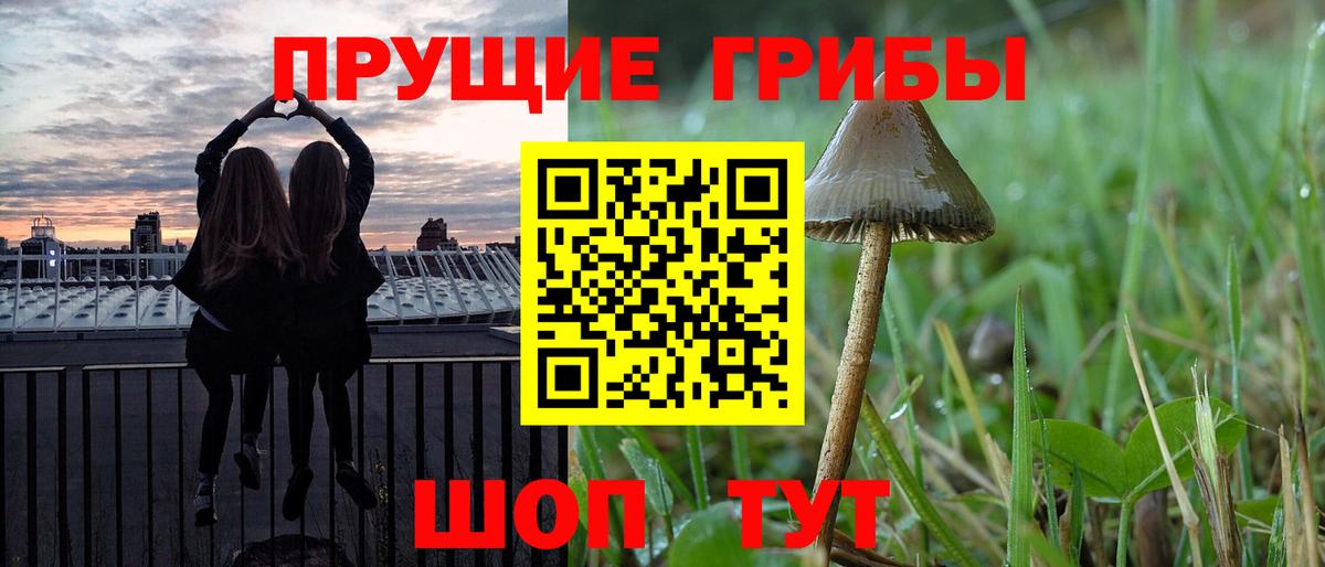 Новочебоксарск  Галлюциногенные грибы прущие грибы  Вход с VPN 